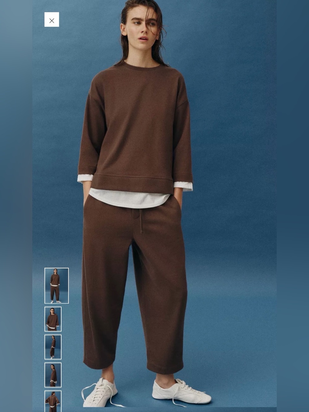 Zara Brown Crewneck Sweatshirt